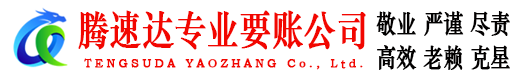 广丰收债公司